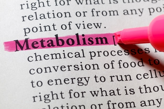 All you Need to Know About Metabolic Testing